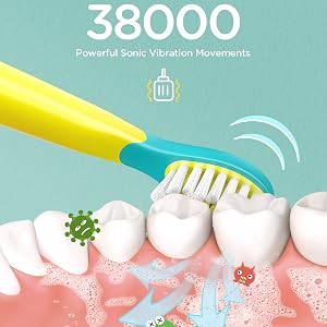 Rechargeable Sonic Electric Toothbrush for Family - 18